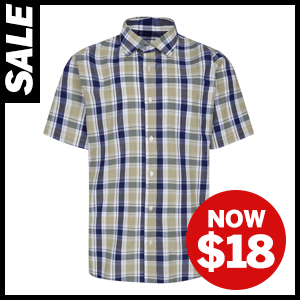  Short Sleeve Check Shirt in Cream now $18