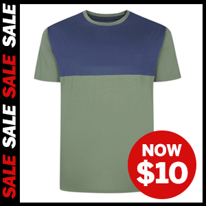 Cut & Sew 2 Tone T-Shirt now $10