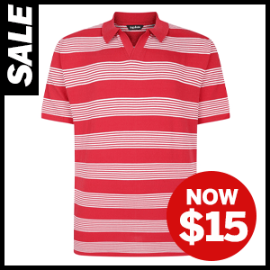 Striped Relaxed Collar polo Now $15