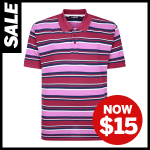  Striped Polo Shirt Now $15