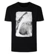 Thumbnail Black short sleeve T-shirt shown flat with shark graphic.
