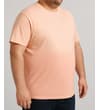 Thumbnail Apricot ombre T-shirt worn, angled front view.