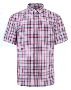 Bigdude Cutaway Collar Checked Shirt Pink/White Tall