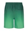 Thumbnail Back view of dark green ombre swim shorts with back pocket.