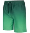 Thumbnail Front angled view of dark green ombre swim shorts.