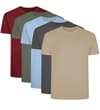 Thumbnail Five plain crew neck T-shirts in maroon, green, blue, charcoal and sand.