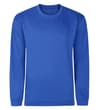 Royal Blue Tall