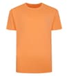 Thumbnail Apricot plain crew neck T-shirt front view.