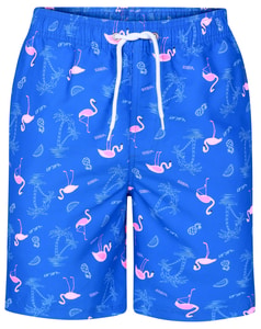 Bigdude Flamingo Swim Shorts Royal Blue