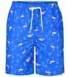 Thumbnail Alternate front view of royal blue flamingo swim shorts.