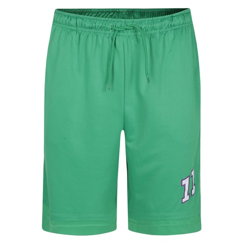 Bigdude Mesh Basketball Shorts Green