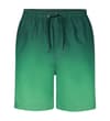 Thumbnail Front view of dark green ombre swim shorts with drawstring.