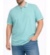 Thumbnail Light aqua polo shirt on model with white striped trim.
