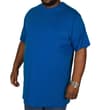 Royal Blue Tall