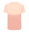 Thumbnail Back view of apricot ombre short sleeve T-shirt.