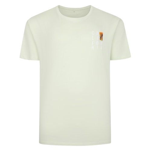 Lime green T-shirt with small chest surf print, front view.