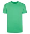 Thumbnail Green plain crew neck T-shirt front view.