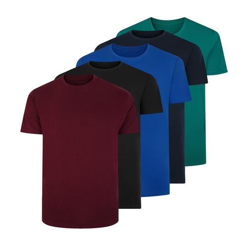 Five plain crew neck T-shirts in assorted colours.