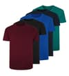 Thumbnail Five plain crew neck T-shirts in assorted colours.