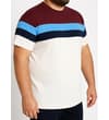 Thumbnail Model wearing burgundy and cream striped colour block T-shirt.