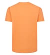Thumbnail Apricot plain T-shirt shown from the back.
