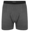 Thumbnail Charcoal heather boxer briefs with black waistband, front view.
