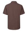 Thumbnail Brown check short sleeve button-up shirt, back view.