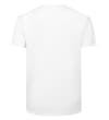 Thumbnail Plain white short-sleeve crew neck T-shirt, back view.