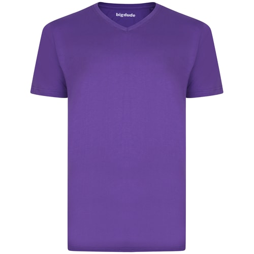 Purple plain V-neck T-shirt front view.