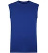Thumbnail Royal blue sleeveless T-shirt, front view.
