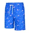Thumbnail Front view of royal blue flamingo print swim shorts.