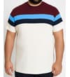 Thumbnail Close front view on model of burgundy colour block striped T-shirt.