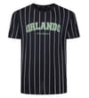Thumbnail Black pinstripe T-shirt with Orlando Florida chest print.