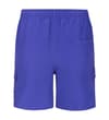 Thumbnail Cobalt cargo swim shorts, back flat view.
