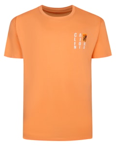 Bigdude Surf Chest Print T-Shirt Apricot