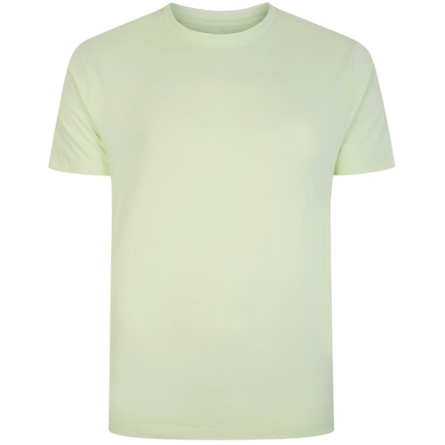 Front view of lime green crew neck T-shirt.