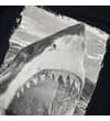 Thumbnail Close-up of the shark photoprint on the black T-shirt.