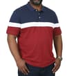 Thumbnail Tall colour block polo shirt worn from front view.