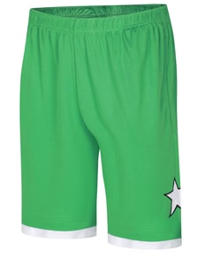Bigdude Layered Basketball Shorts Green/White