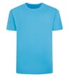 Thumbnail Blue plain crew neck T-shirt front view.