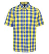 Yellow/Blue
