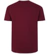 Thumbnail Burgundy short sleeve T-shirt, back view.