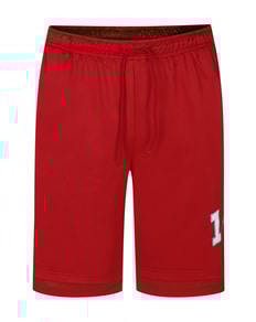 Bigdude Mesh Basketball Shorts Red
