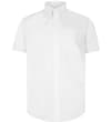 Thumbnail White short-sleeve button-up shirt front view.