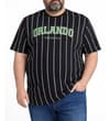 Thumbnail Front view of black pinstripe T-shirt with Orlando print.
