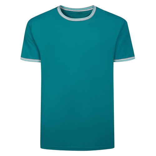 Front view of teal T-shirt with contrast tipped neck and sleeves.