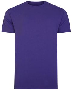Bigdude Plain Crew Neck T-Shirt Violet