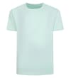 Thumbnail Mint green plain crew neck T-shirt, front view.
