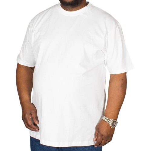 White plain crew neck T-shirt on model.